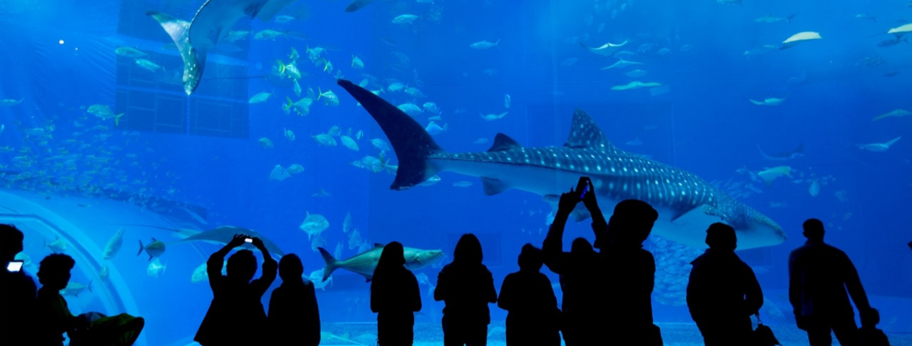 People in an aquarium